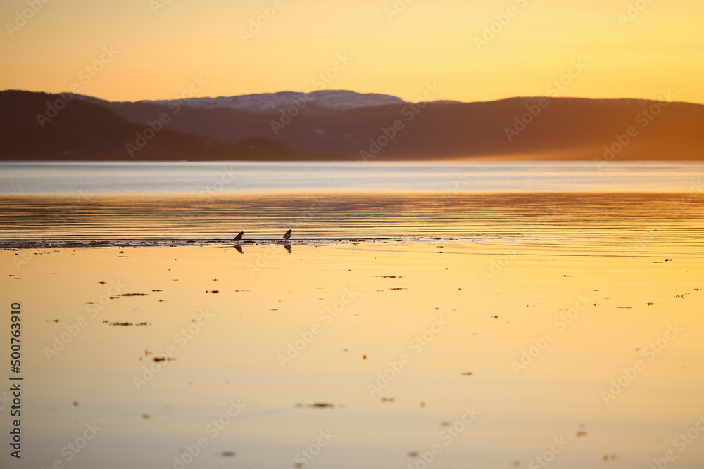 Trondheim fjord