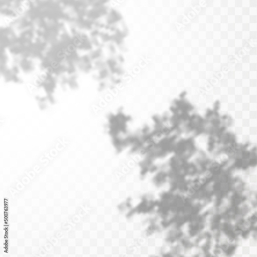 Realistic shadow tropical leaves and branches on transparent checkered background. The effect of overlaying shadows. Natural light layout.