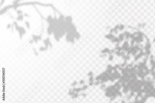 Realistic shadow tropical leaves and branches on transparent checkered background. The effect of overlaying shadows. Natural light layout.