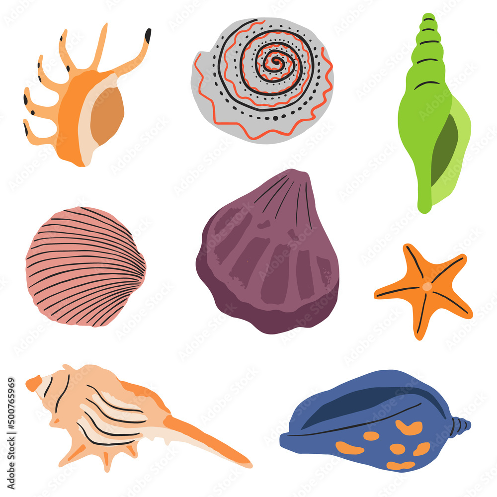 Collection with sea underwater shells. Seashells, undersea molluscs. Marine mollusks. Flat vector illustration isolated on white background