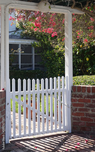 garden gate and trellis on a sunny morning photo