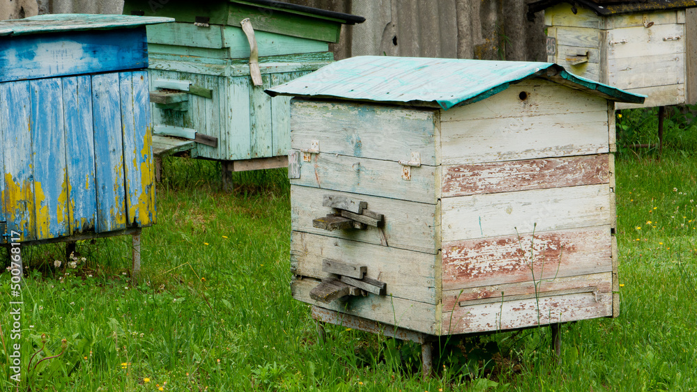 Old abandoned bee hives in the yard. Old abandoned bee hives in the yard.