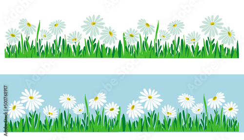 Wild chamomile flowers on a field in bloom.Colorful sketch on white and blue backgrounds.Vector illustration.