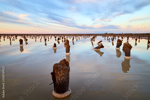 Salt lake water with a smooth mirror surface and wooden pillars for salt extraction in the evening with blue sky with white clouds during sunset