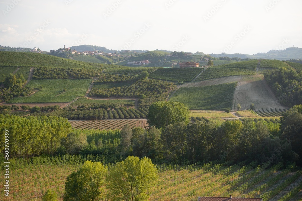 Fototapeta premium Langhe