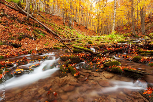 Ukpaine. Waterfall among the mossy rocks. Beautiful landscape rapids on a mountains river in autumn forest in carpathian mountains at sunset. Silver stream in National park Shypit Carpat. Pilipets. photo