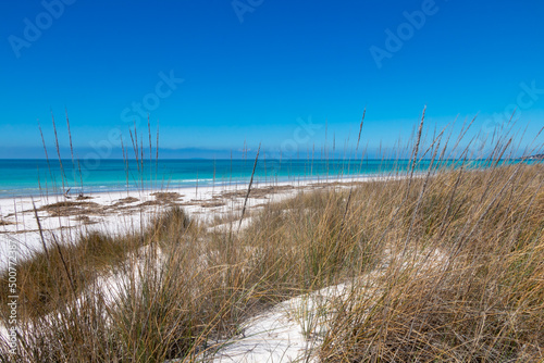 Fototapeta Naklejka Na Ścianę i Meble -  Mediterranean scrub on the dunes of a paradisiacal white beach