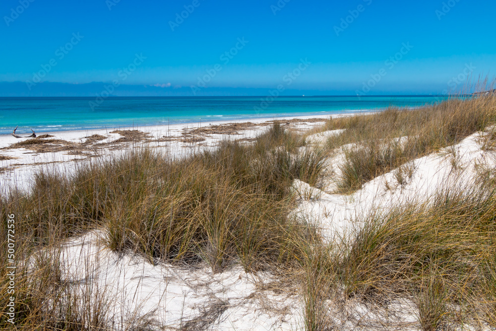 Mediterranean scrub on the dunes of a paradisiacal white beach Mediterranean scrub on the dunes of a paradisiacal white beach