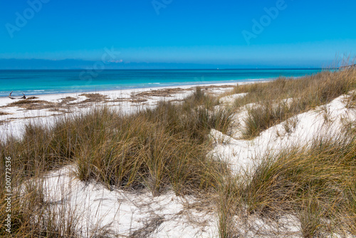 Mediterranean scrub on the dunes of a paradisiacal white beach