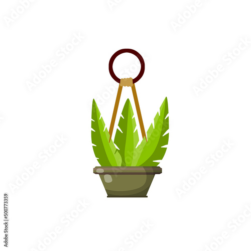Hanging pot decoration. Homemade plant in planter.