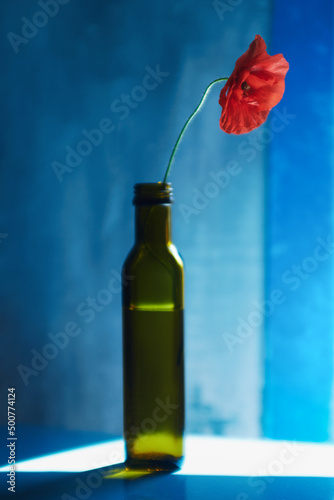 Red blooming flower in a transparent glass bottle on a blue background with a ray of bright sunlight in a small blur