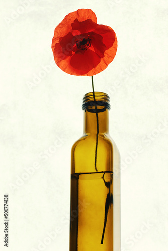 Red poppy flower in a glass bottle with water on a white paper background close-up