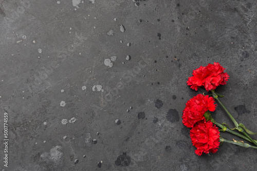 9 May holiday concept. Carnation flowers  with red ribbon on dark background. symbol of Victory Day 1945. Copy space