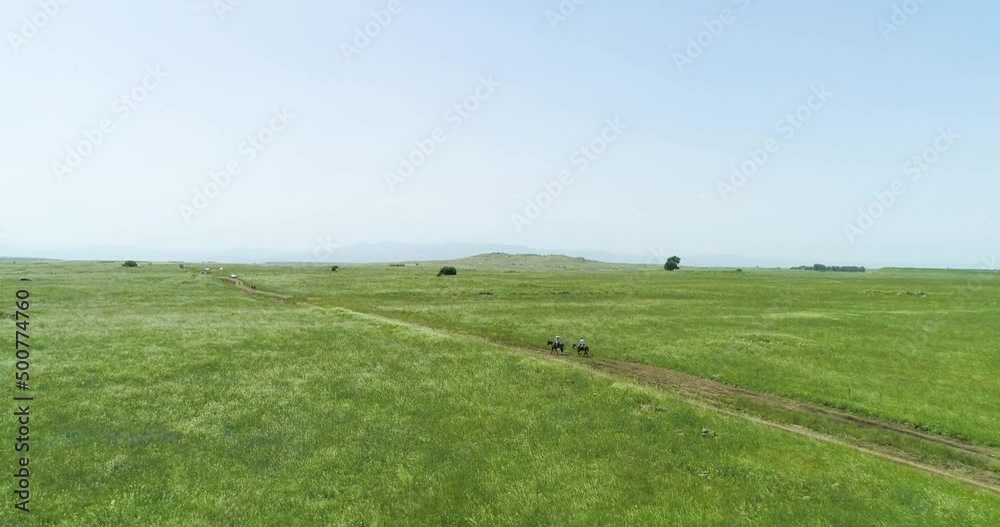 Aerial view of horses in a grassland landscape, Golan Heights, Israel. Aerial view of horses in a grassland landscape, Golan Heights, Israel.