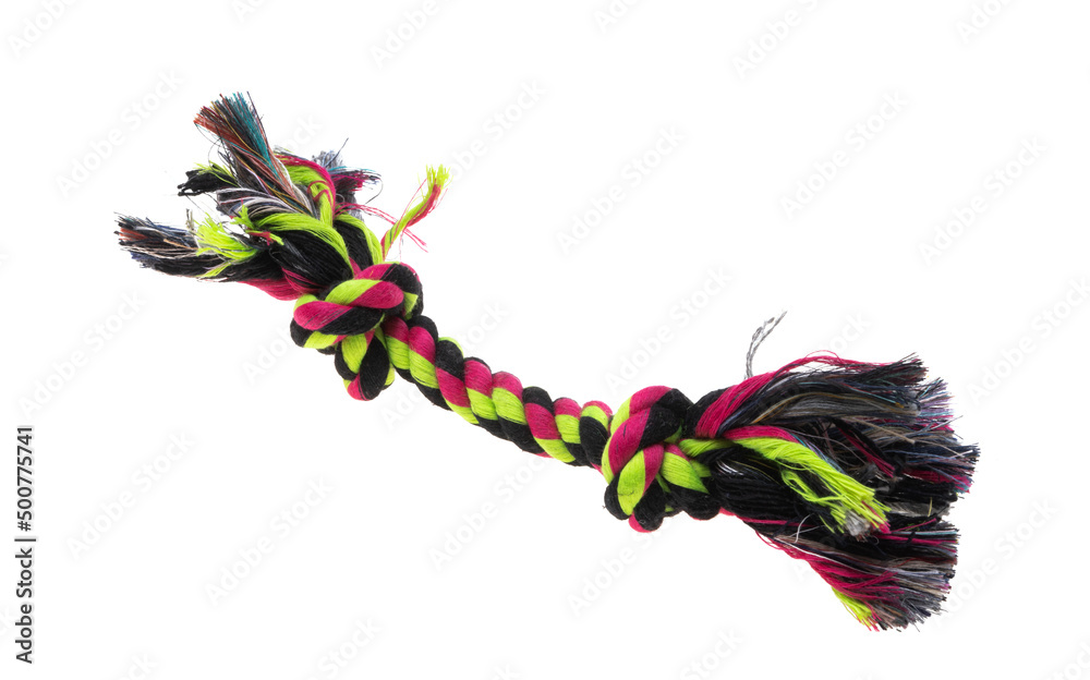 Fototapeta premium dog toys isolated