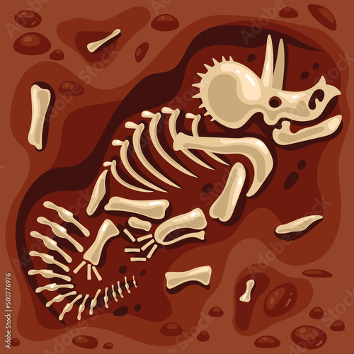 Dinosaur triceratops skeleton remains archeology excavation concept. Vector flat graphic design illustration
