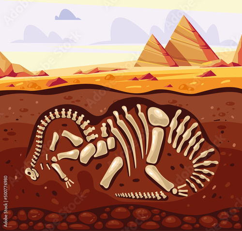 Dinosaur diplodocus skeleton remains archeology excavation concept. Vector flat graphic design illustration