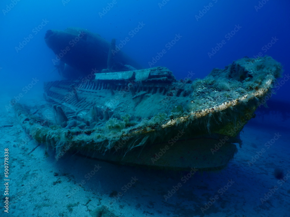 exploring underwater air plane wreck fish around ocean scenery of airplane oceasceneryn adventure exploring underwater air plane wreck fish around ocean scenery of airplane oceasceneryn adventure