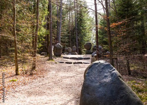 Fototapeta Naklejka Na Ścianę i Meble -  Path through Beech Mountain Reserve - in polish Bukowa Gora - in Zwierzyniec, Roztochia region in Poland.