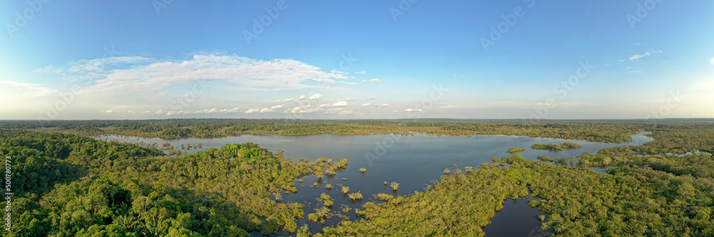 Amazonian national reserve Cuyabeno in Ecuador, wetland with lakes and ponds, river with piranas, dolphins, caymans, snakes and birds, aerial landscape view, green forest