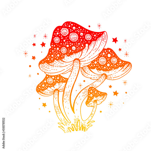 Mushroom vector. Magic illustration of fly agaric. Celestial forest outline drawing. Mushrooms or toadstool clipart graphic. Mystical red gradient fly agaric. Doodle mystic amanita, boho style