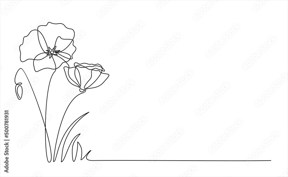 Poppy flowers in continuous line art drawing style. Minimalist black linear design isolated on white background. Vector illustration