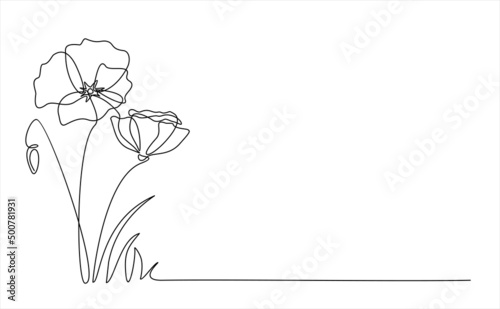Poppy flowers in continuous line art drawing style. Minimalist black linear design isolated on white background. Vector illustration