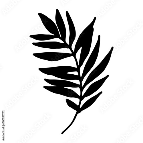 the tropical leaf icon. a leaf with individual sharp long leaves, hand-drawn in sketch style on white.Vector isolated silhouette of a black plant leaf for a design template