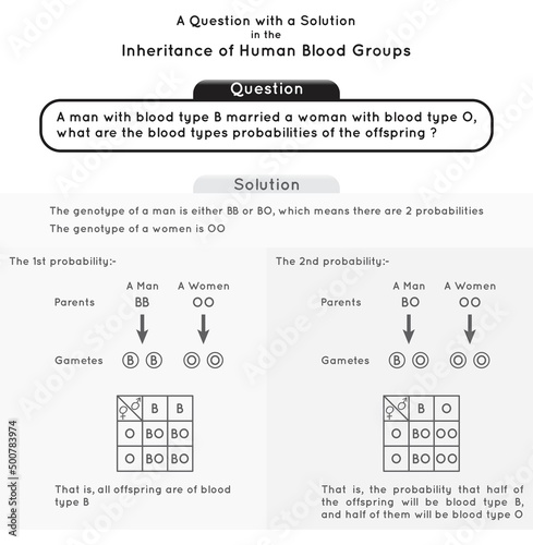 Question and Solution Inheritance of Human Blood Group Infographic Diagram genotype phenotype man women probabilities gamete offspring blood type heredity genetic science education gene biology vector