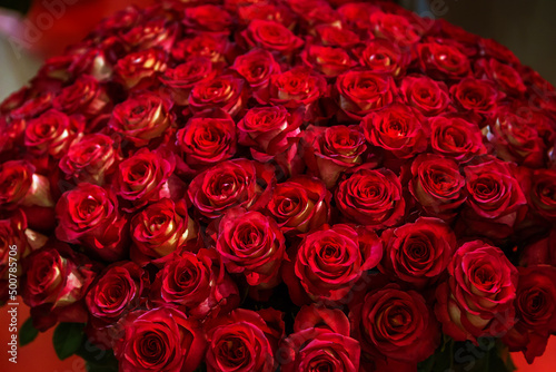 close-up roses texture natural background in red tones