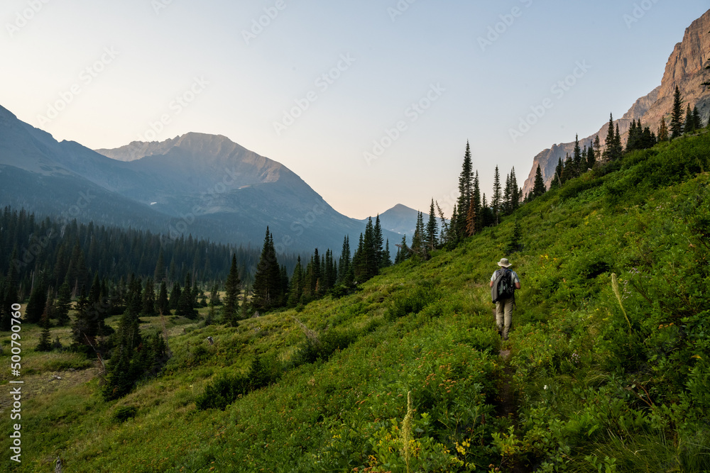 Male Hiker Heading Up Pitamakan Pass Trail In Glacier