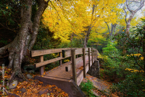 Autumn foliage over footbridge along the Mountains to Sea trail in North Carolina's Blue Ridge Mountains