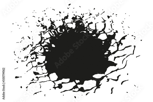 TACHE NOIRE FIBREUSE