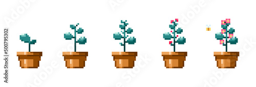Pixel art plat growth stages. Vintage 90s gaming 8 bit icon set of flower growth process. Vector pixel plant in flower pot game isolated patterns.	