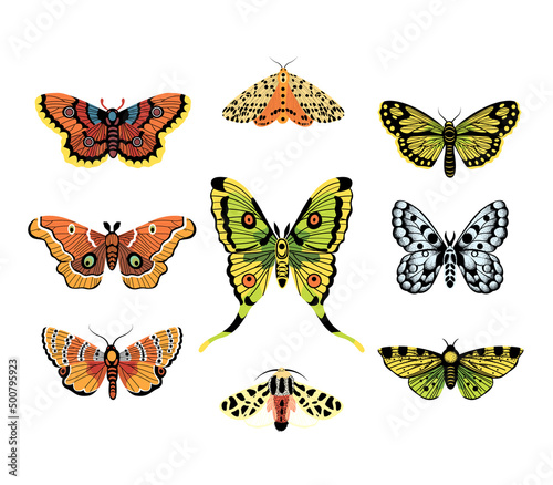 Wallpaper Mural Butterflies, set of hand drawn collection on isolated white background. Vector illustrations. Creative Fluttering, beautiful butterflies. Torontodigital.ca