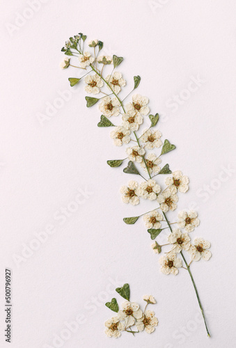 White dried flower arrangement with heart shaped leaves