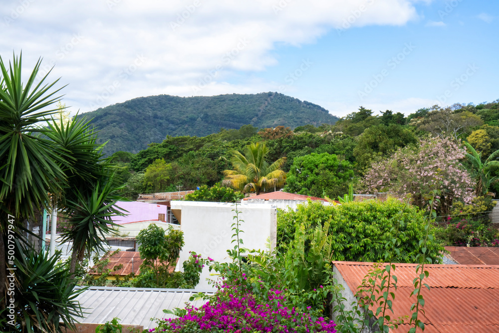 view of roofs of houses and forest in the distance in Central America. Plants and flowers seen from top of a building