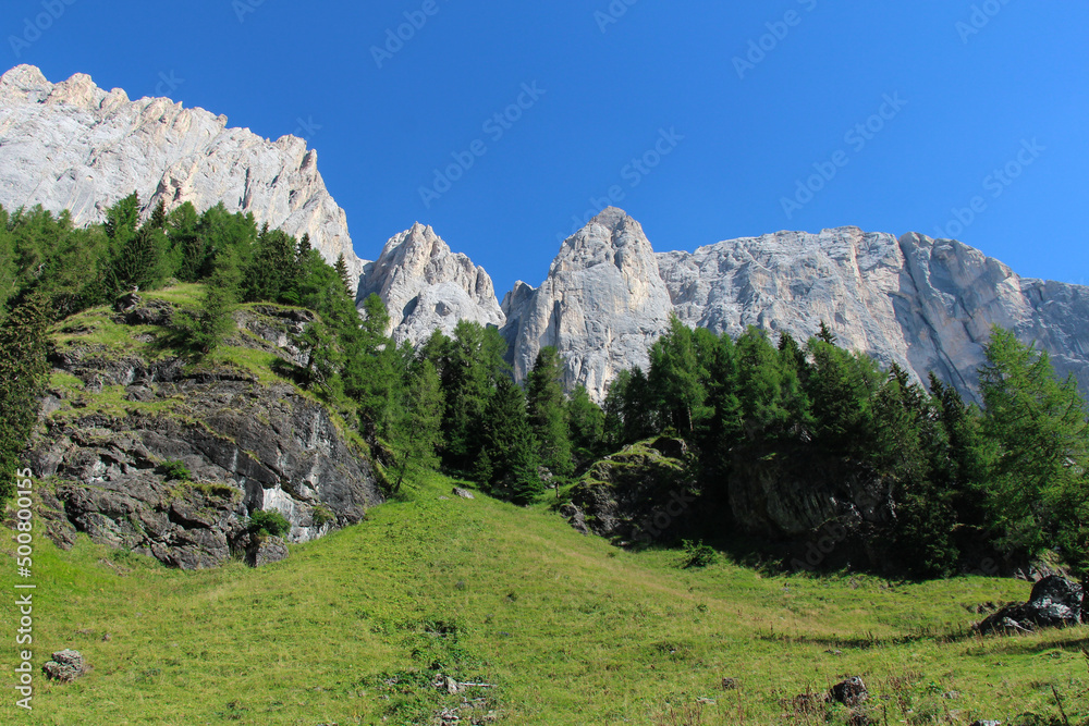 Mountain massif and green forest at foothills in a sunny day. Mountain massif and green forest at foothills in a sunny day.