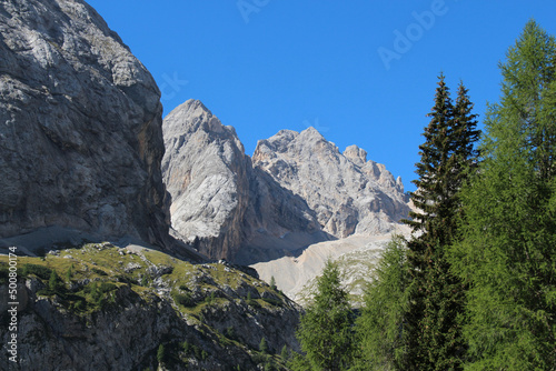 Mountain massif and green forest at foothills in a sunny day.