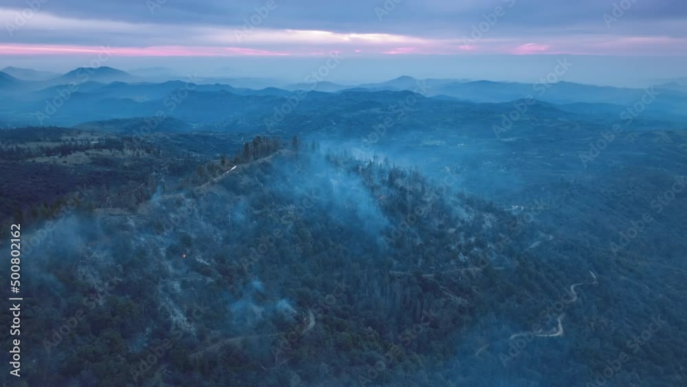 Pine groves on steep slopes below picturesque purple sunrise skyline Pine groves on steep slopes below picturesque purple sunrise skyline