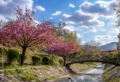 Blooming trees and bridges in Bursa Gokdere park photo