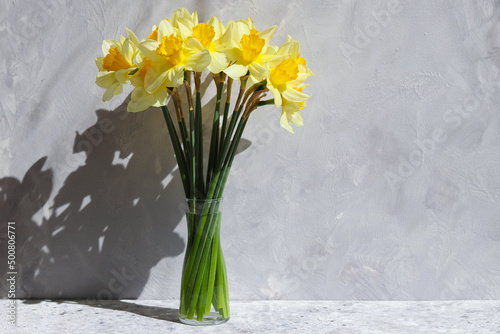 Beautiful bouquet of yellow daffodils in a vase against a gray wall in sunny day with deep shadows. Copy space. Hard light