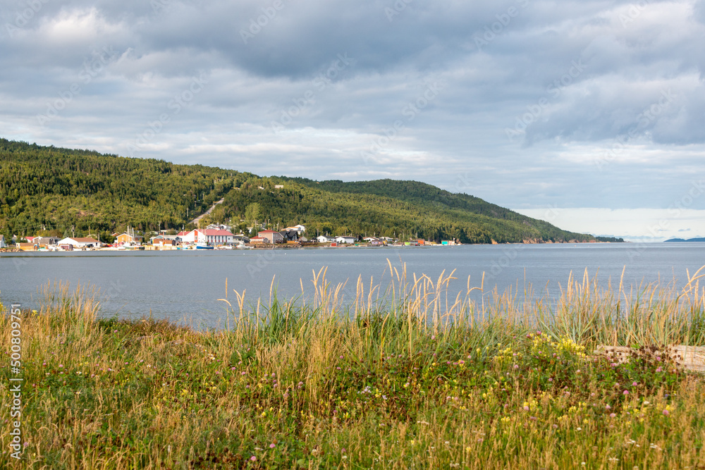 A landscape view of a bay with land in the foreground and distance. There's tall grass on one side of the water and a hill with waterfront buildings in the distance. The mountain is covered in trees. 