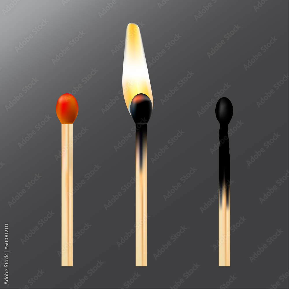 3d whole burnt match. Transparent background. Vector illustration. stock image. 3d whole burnt match. Transparent background. Vector illustration. stock image.