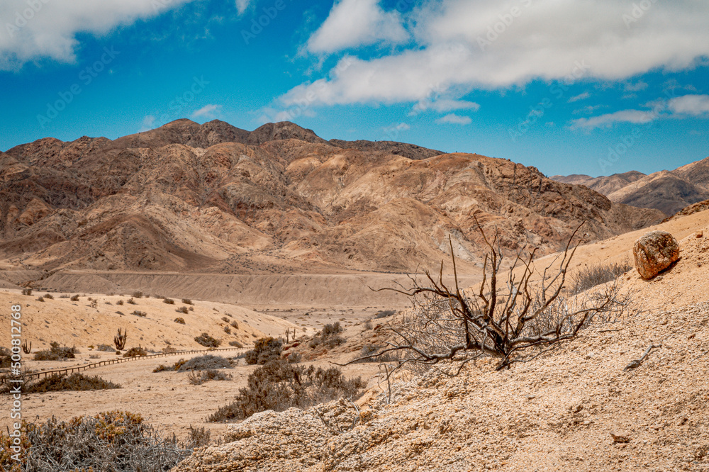 landscape in the desert