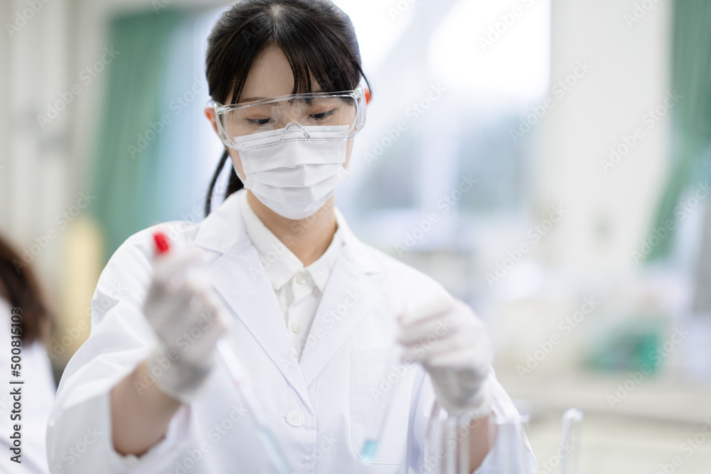 作業をする研究員 作業をする研究員
