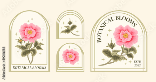 Set of vintage feminine beauty pastel peach pink rosa canina floral logo elements and label vector illustration templates with leaf branch and frame