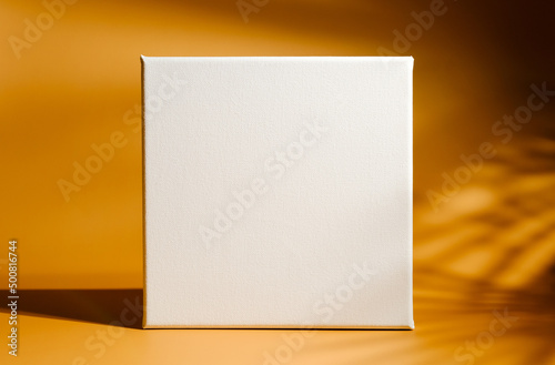 Blank canvas frame on orange background.