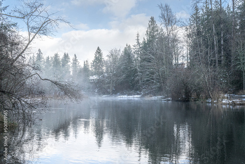 Whatcom Falls Park after Snowfall
Bellingham, WA
