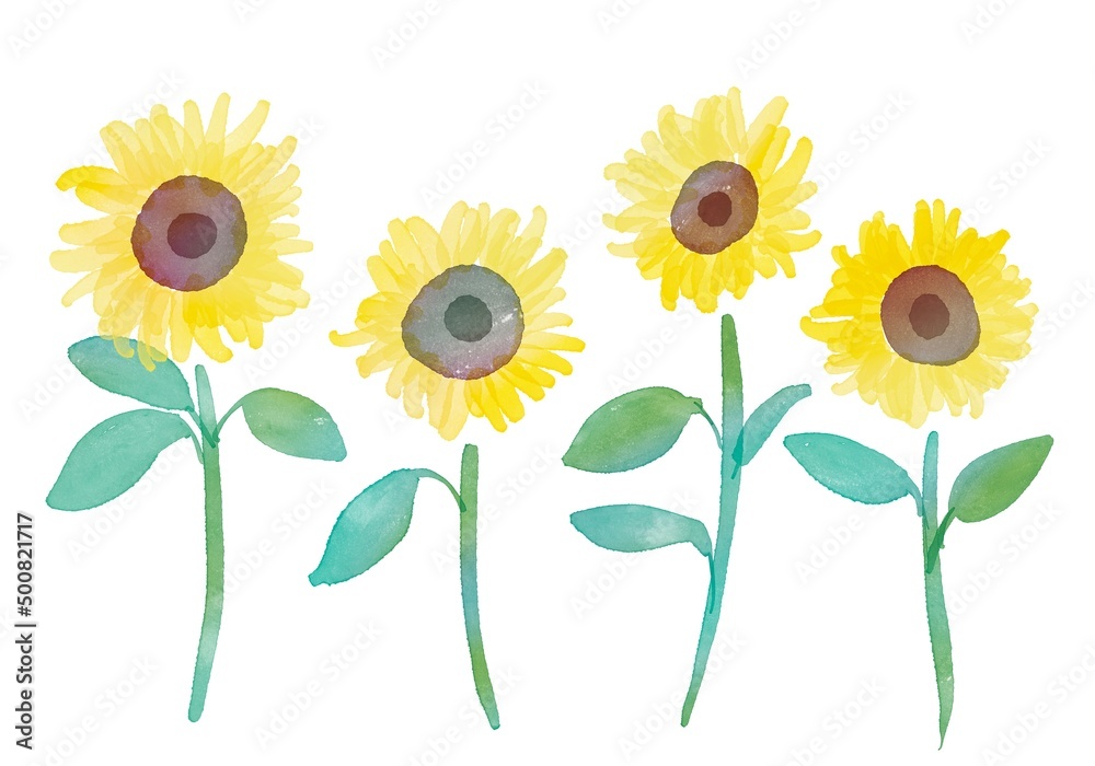 Fototapeta Yellow Sunflowers With Green Leaves And Stems Holiday Design Set Of Three Flowers Botanical Naklejamy Com